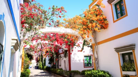Winter Canary Islands Getaway