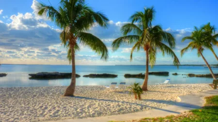 Caribbean Voyage with Walt Disney Stay