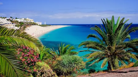 Canary Islands Voyage with All-Inclusive Tenerife Stay
