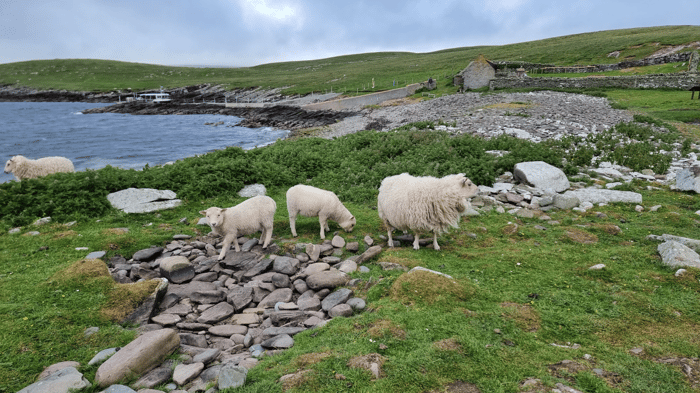 Kirkwall, Orkney Islands, Scotland image