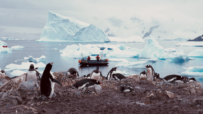 Paradise Harbour, Antarctica image