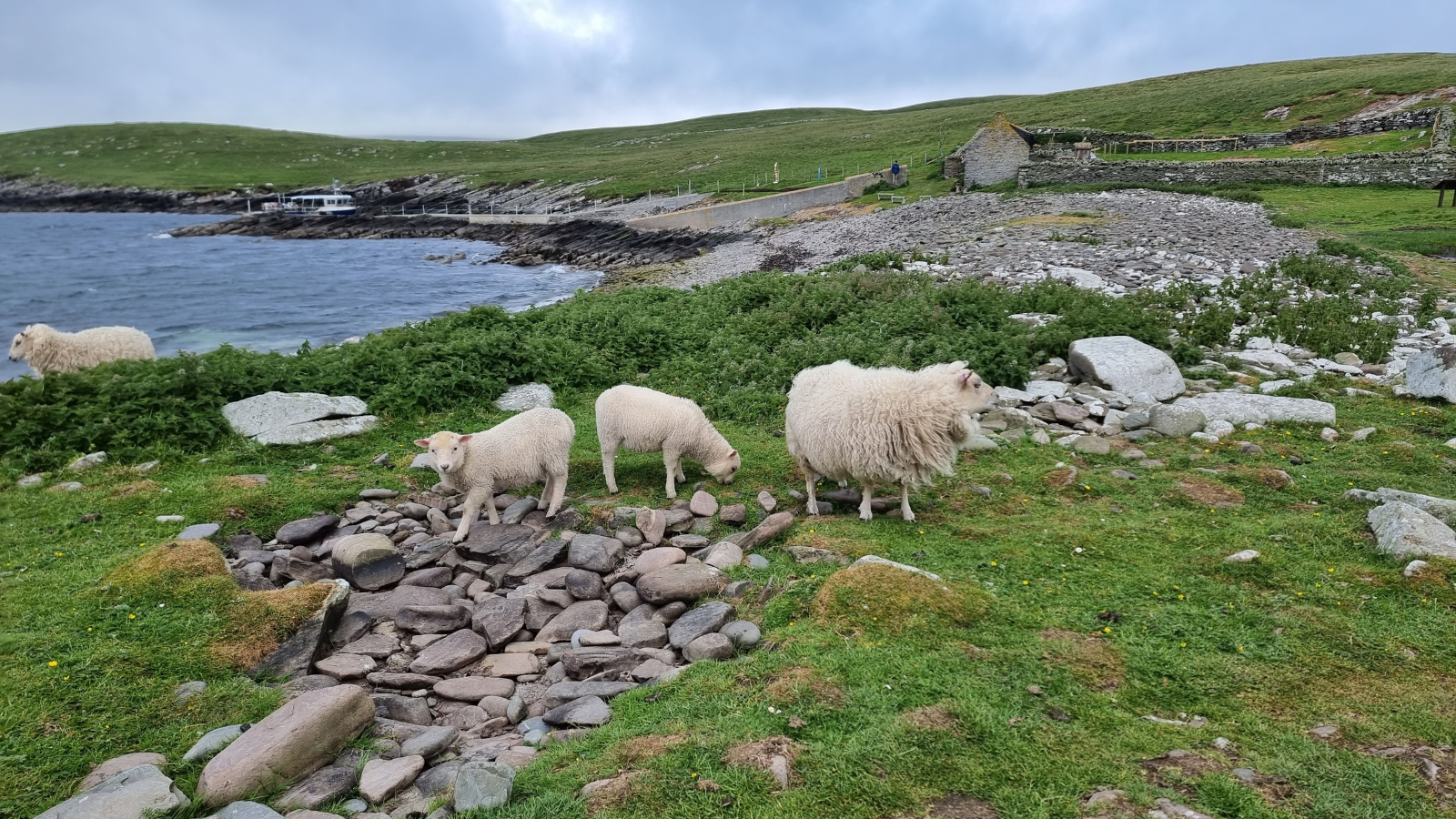 Kirkwall, Orkney Islands, Scotland image