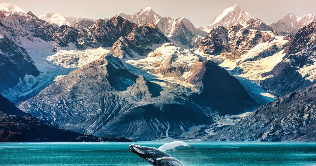 World of Cruising  Embark on a Alaskan adventure with Holland…