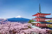 Japan Cruises