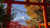 Far East Cruises
