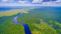 Amazon River cruises