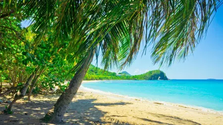 Philadelphia City Break with Caribbean