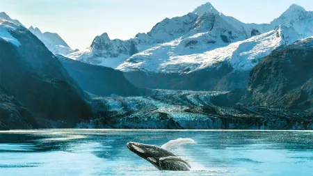 All Inclusive Alaska & Japan Escape: Sail from Tokyo to Vancouver