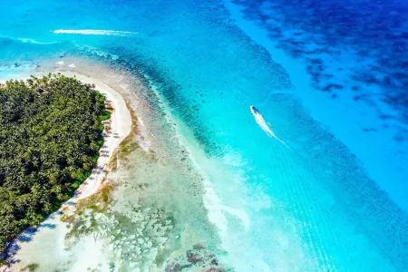 Tropical Isles