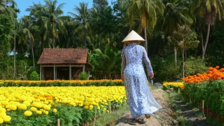 Timeless Wonders of Vietnam, Cambodia and the Mekong river cruise from Angkor Ban to My Tho