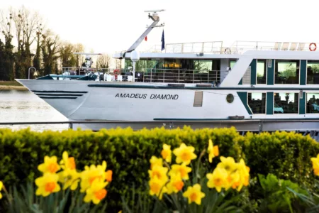 Picture of the MS Amadeus Diamond cruise ship