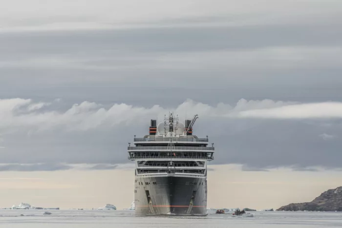 New Island, Falkland Islands (Malvinas) image